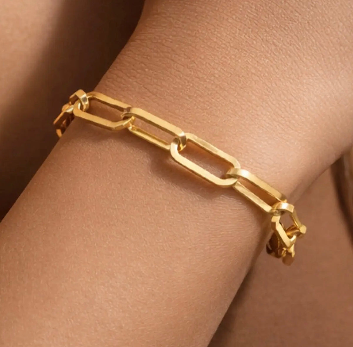 18K Gold PVD Plated Waterproof Stainless Steel Chain Bracelet - 7351