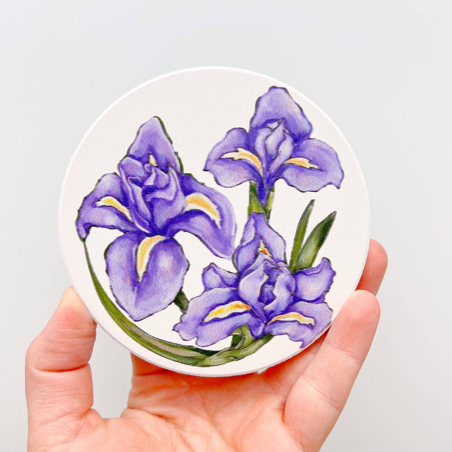 Purple Iris Coaster