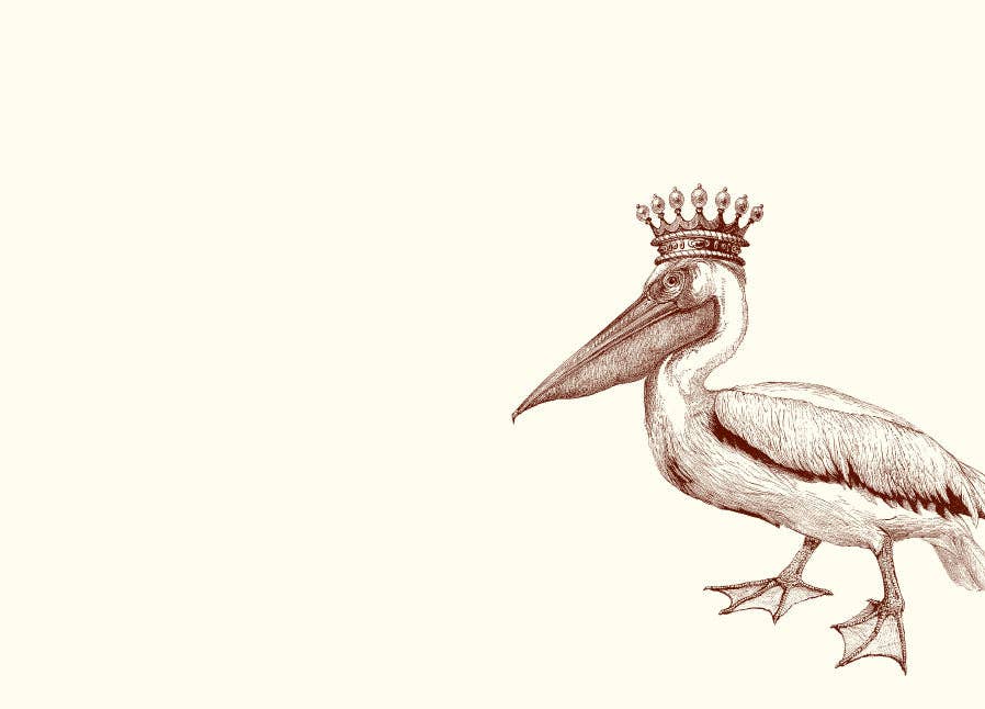 King Pelican A6 Notes