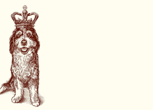 Royal Bernedoodle A6 Notes